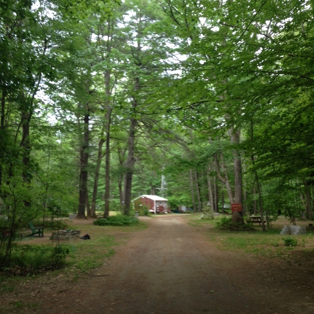 Road down Campground